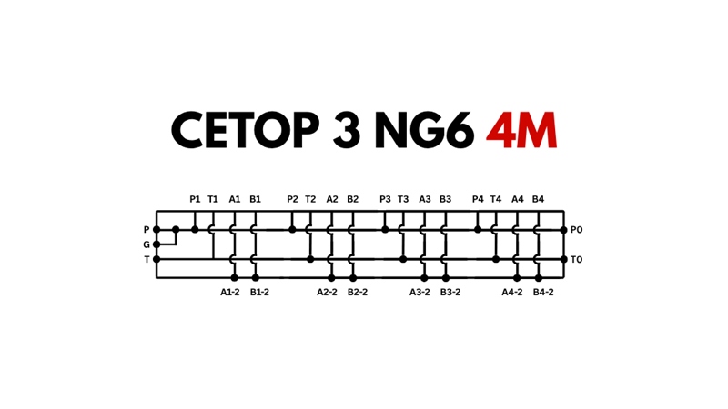 CETOP3 SOCKEL NG6 4M