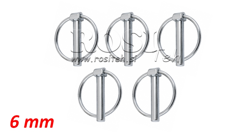 SURTIDO DE PASADORES DE ANILLA Φ 6.0 MM (5PCS)