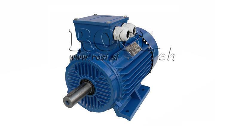 MOTOR ELECTRIC 2P B3 3F picioare