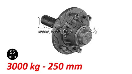 HALBACHSE OHNE BREMSEN - 3000 kg (6 SCHRAUBEN) - 250 mm