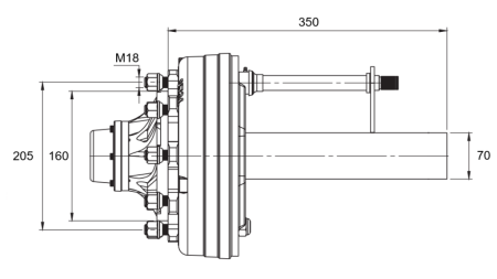 HALBACHSE MIT BREMSEN - 3600 kg (6 SCHRAUBEN) - 250 mm
