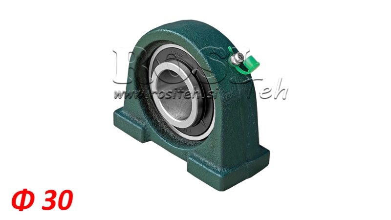 Cuscinetto in alloggiamento UCPA 206 - fi 30mm