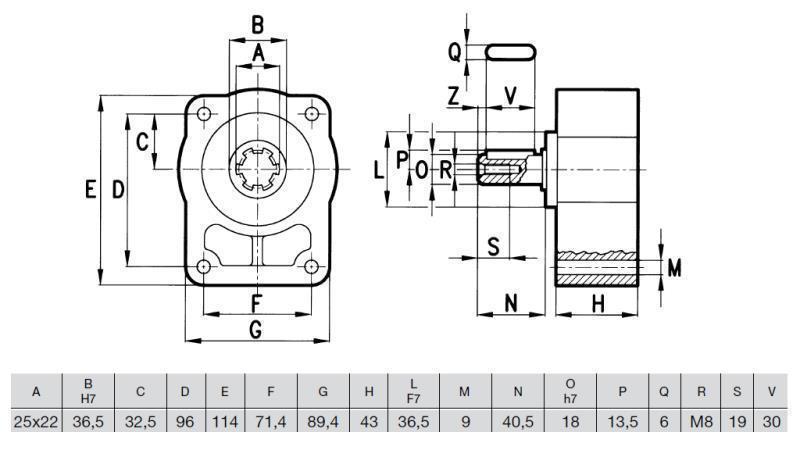 VORSATLAGER MIT KONISCHER WELLE FÜR DIE PUMPE gr.2